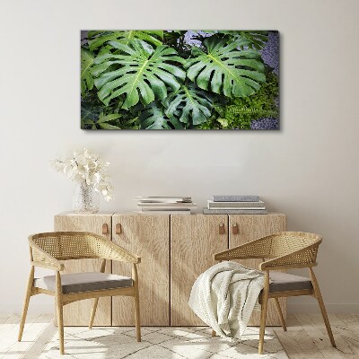 Tablou canvas Frunze verzi de monstera în natură
