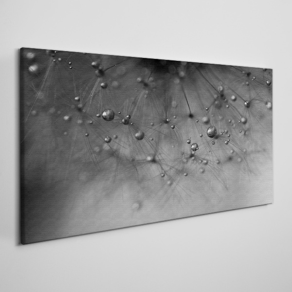 Tablou canvas Picături de rouă pe o păpădie