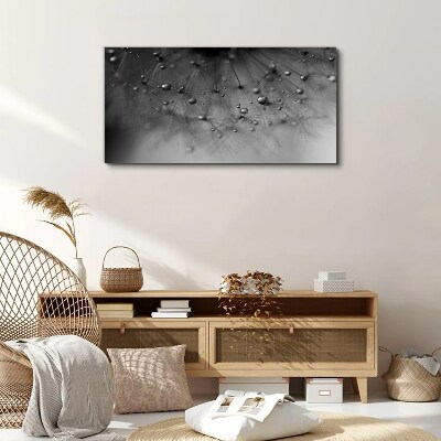 Tablou canvas Picături de rouă pe o păpădie