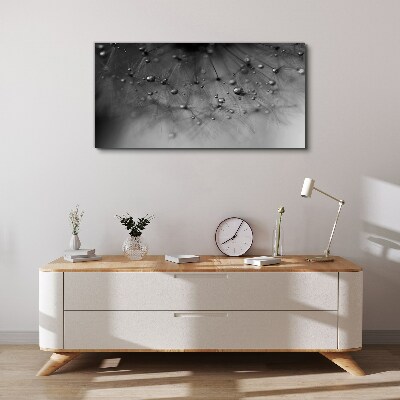 Tablou canvas Picături de rouă pe o păpădie