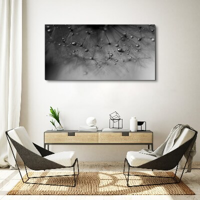 Tablou canvas Picături de rouă pe o păpădie
