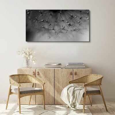 Tablou canvas Picături de rouă pe o păpădie