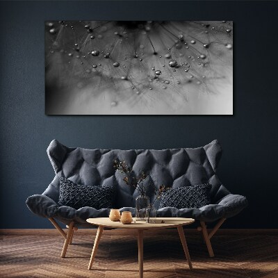 Tablou canvas Picături de rouă pe o păpădie