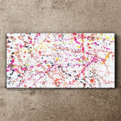 Tablou canvas Pete colorate pe un fundal alb