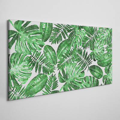 Tablou canvas Junglă verde