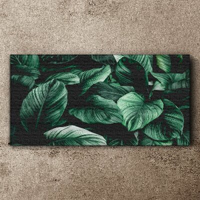 Tablou canvas frunze flori plante