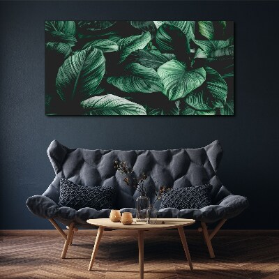 Tablou canvas frunze flori plante