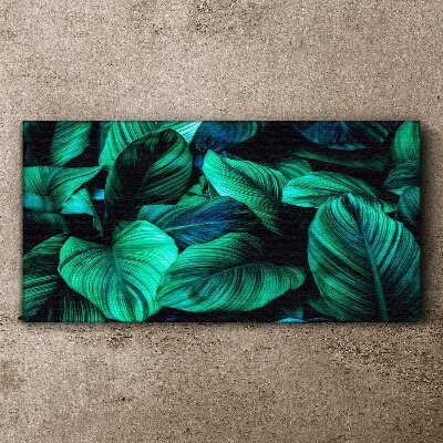 Tablou canvas Frunze tropicale verzi