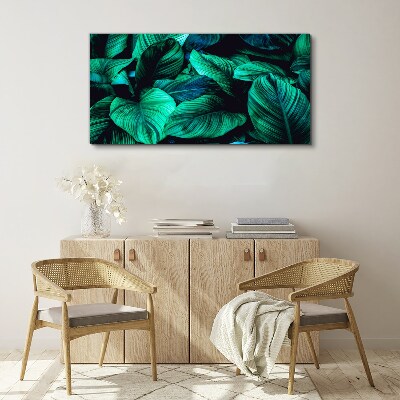 Tablou canvas Frunze tropicale verzi
