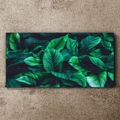 Tablou canvas Simfonia verde a frunzelor