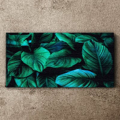 Tablou canvas Frunze tropicale verzi