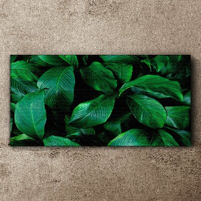 Tablou canvas Simfonia verde a frunzelor