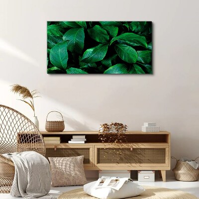 Tablou canvas Simfonia verde a frunzelor