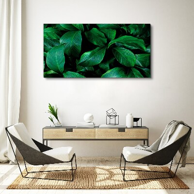 Tablou canvas Simfonia verde a frunzelor
