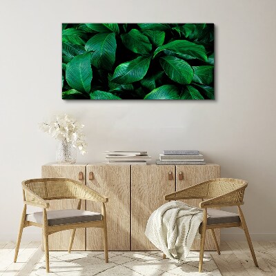 Tablou canvas Simfonia verde a frunzelor