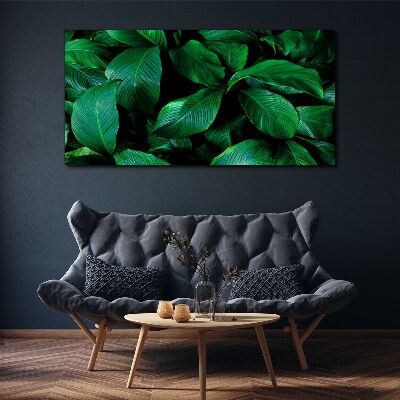Tablou canvas Simfonia verde a frunzelor