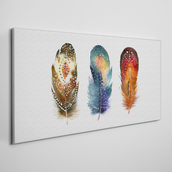 Tablou canvas Pene colorate