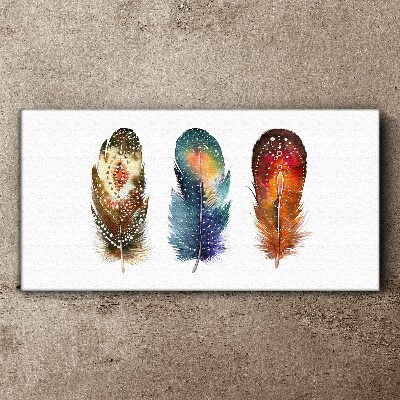 Tablou canvas Pene colorate