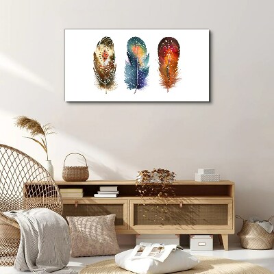 Tablou canvas Pene colorate