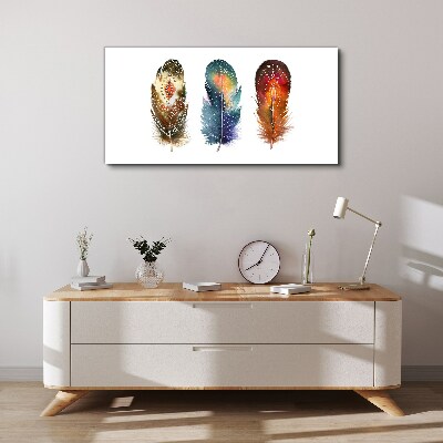 Tablou canvas Pene colorate