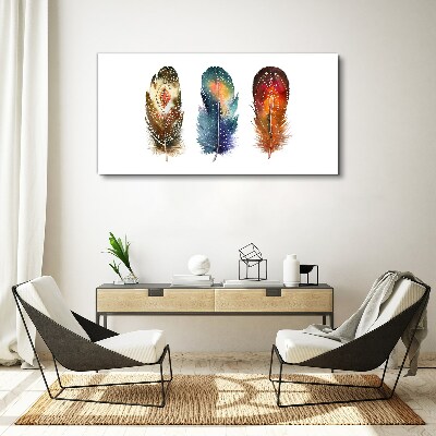 Tablou canvas Pene colorate