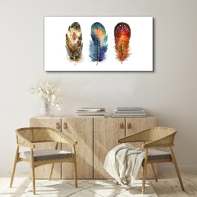 Tablou canvas Pene colorate