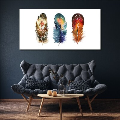 Tablou canvas Pene colorate