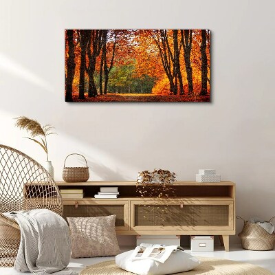Tablou canvas Aleea copacilor de toamnă