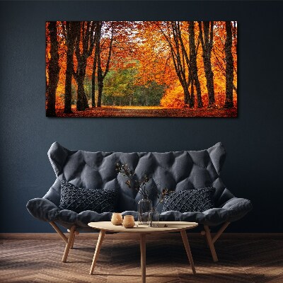 Tablou canvas Aleea copacilor de toamnă