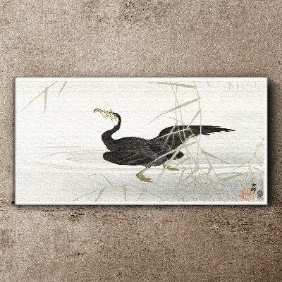 Tablou canvas Cormoran negru printre stuf