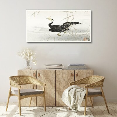 Tablou canvas Cormoran negru printre stuf
