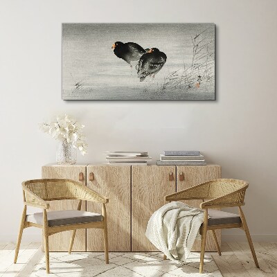 Tablou canvas Două rațe pe apă calmă