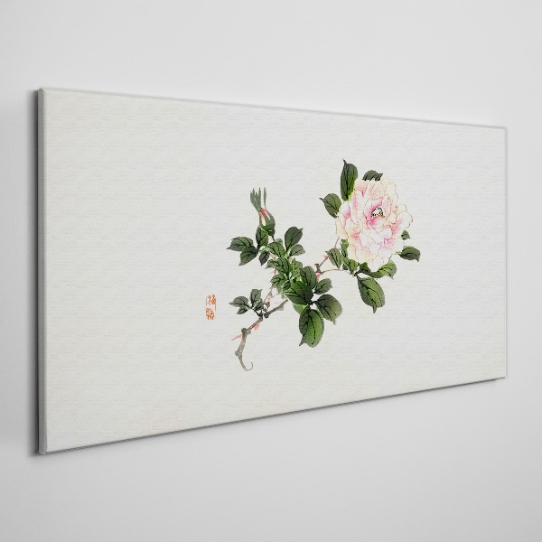 Tablou canvas Floare de bujor pe un fundal deschis