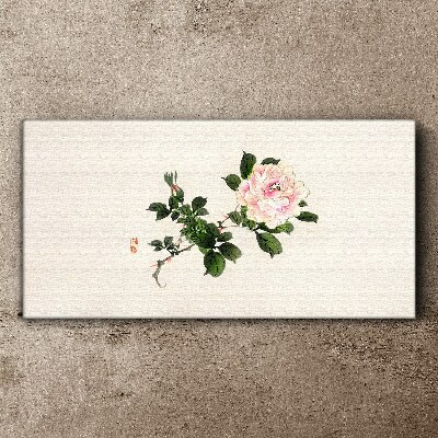 Tablou canvas Floare de bujor pe un fundal deschis