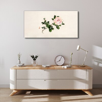 Tablou canvas Floare de bujor pe un fundal deschis
