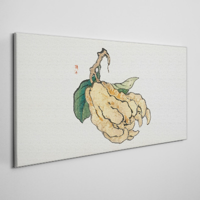 Tablou canvas Lămâi pe fundal alb