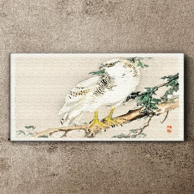 Tablou canvas Soimul pe o ramura