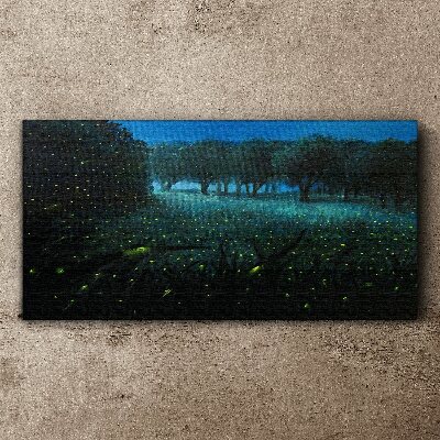 Tablou canvas Lumini de noapte în pădure
