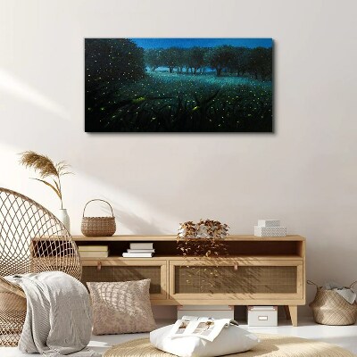 Tablou canvas Lumini de noapte în pădure