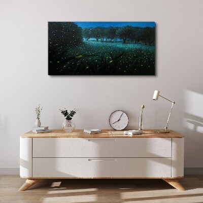 Tablou canvas Lumini de noapte în pădure