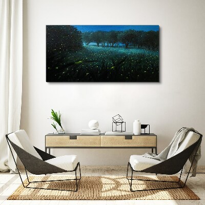 Tablou canvas Lumini de noapte în pădure