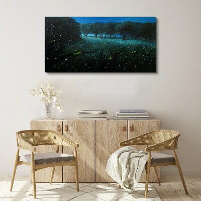Tablou canvas Lumini de noapte în pădure