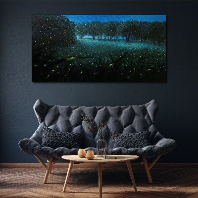Tablou canvas Lumini de noapte în pădure