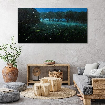 Tablou canvas Lumini de noapte în pădure