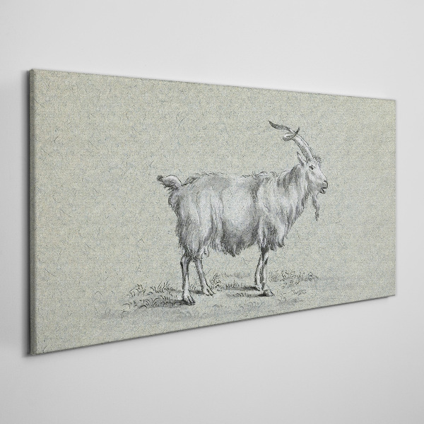 Tablou canvas Capră pe un fundal de hârtie gri
