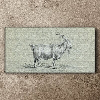 Tablou canvas Animal capră modern