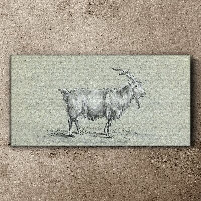 Tablou canvas Capră pe un fundal de hârtie gri