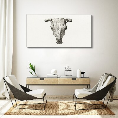Tablou canvas Craniu pe un fundal alb