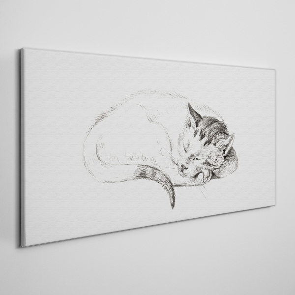 Tablou canvas Pisica adormita