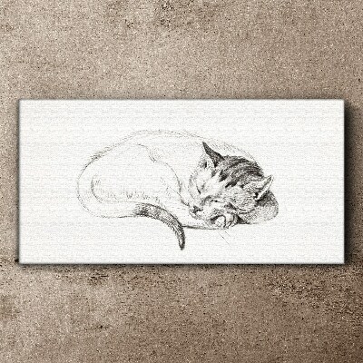 Tablou canvas Pisica adormita